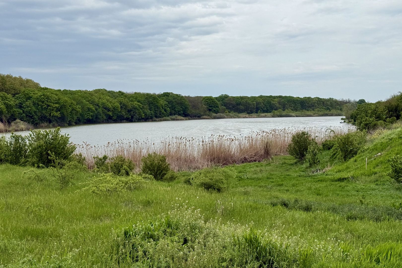 Teren intravilan de 1000 mp în Grădiștea, Ilfov – ideal pentru casa ta - Poză 6