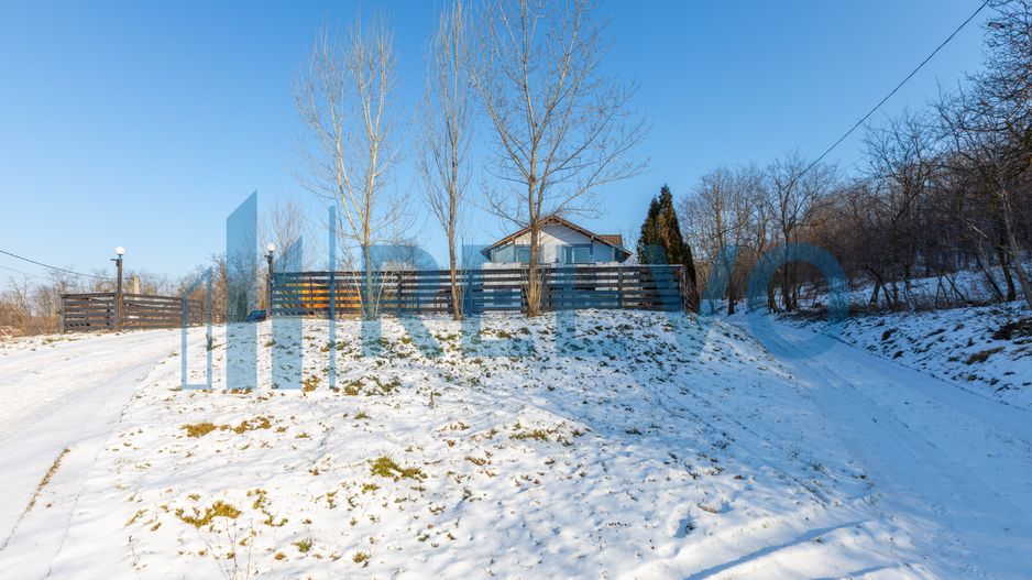 Proprietate cu casa si spatiu comercial+teren 4060 mp Bahna - Poză 9