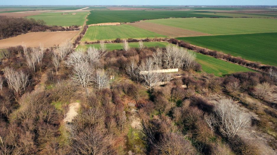 Ferma si livada de meri in judetul Ilfov - Poză 15