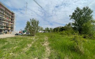 5000 mp teren superb cu deschidere lac Baneasa 30 metri - Poză 6