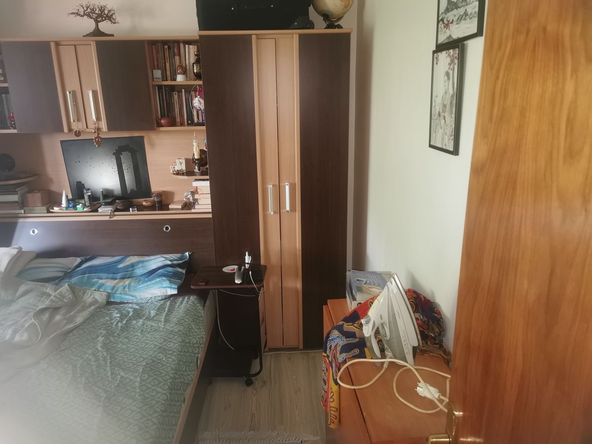 Apartament Plevnei / Orhideea - Poză 6