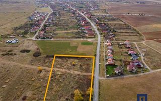 Teren pentru parcelare, 19000 mp, Pișchia, comision 0 - Poză 3