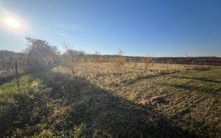 Teren intravilan de vanzare | 12.650 mp | Ghirdoveni, | COMISION 0% - Poză 7