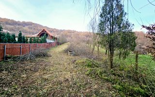 Teren intravilan intre Alba - Micesti, partea stanga - Poză 2
