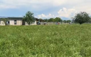 OPORTUNITATE lot de 1952mp in zona LIVADA, Sanpetru - Poză 1