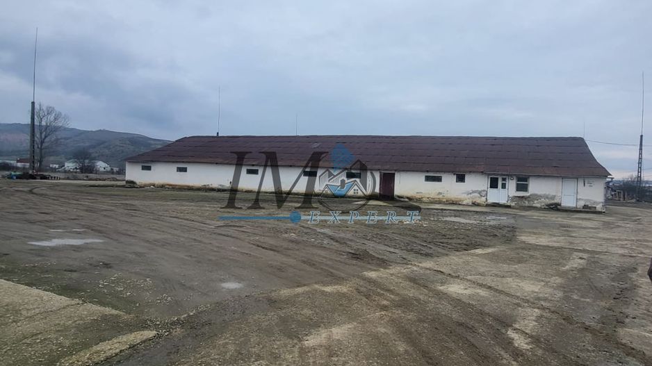 Grajd de inchiriat - Poză 2