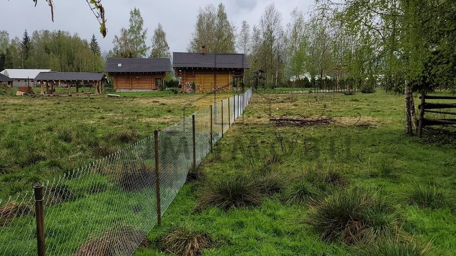 Teren Saru Dornei / Neagra Sarului - oportunitate investitie - Poză 4