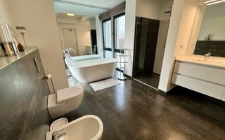 VILA MODERNA DE INCHIRIAT I EROU IANCU NICOLAE I PIPERA - Poză 9