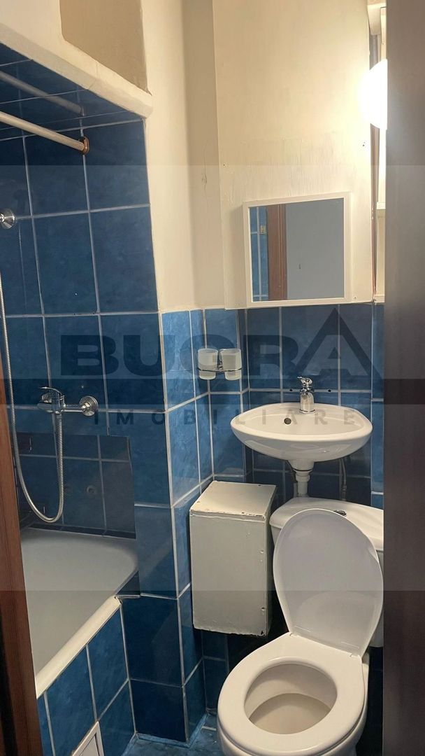 Apartament 2 camere,  30 mp, zona Albac - Poză 11