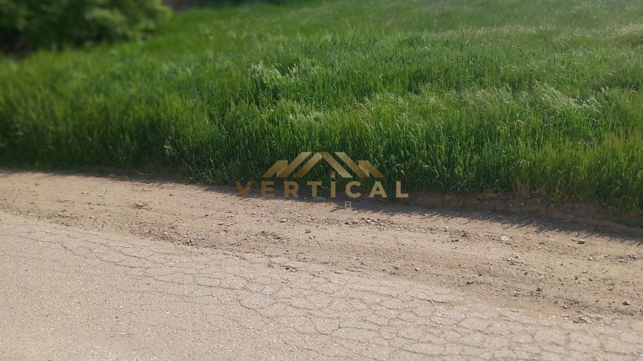Teren de vânzare în Berceni, judet Bucuresti Ilfov - Poză 2