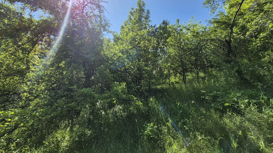 Teren intravilan 1290 mp Plaiu-Provita de Sus - Poză 9