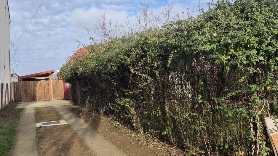 Casa Saftica/Balotesti/542 mp Teren - Poză 32