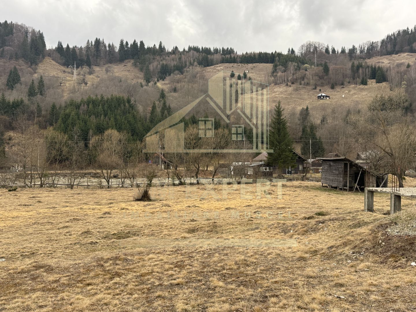 TEREN INTRAVILAN 500 MP SĂTIC- RUCĂR - Poză 21