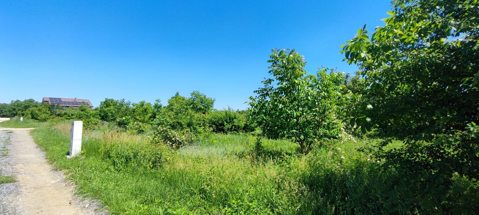 Lot pentru două case – Corbeanca Tamași - Poză 15