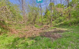 Proprietate rară cu 24.270 mp, în Măgulicea, Arad! - Poză 32