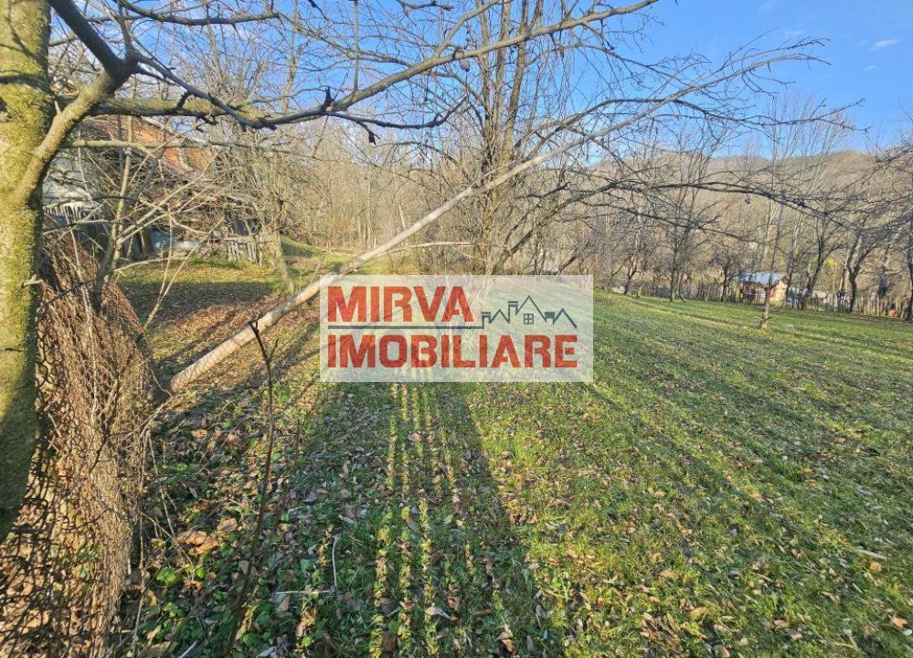 Vanzare casa plus anexa, teren 3843 mp, in Sat Pietriceaua - Poză 16