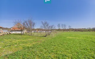 Casă cu teren de 6000 mp în Duboz, Timiș - Poză 12