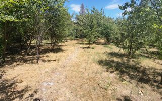 Spatiu industrial zona Sud-Arad - Poză 28