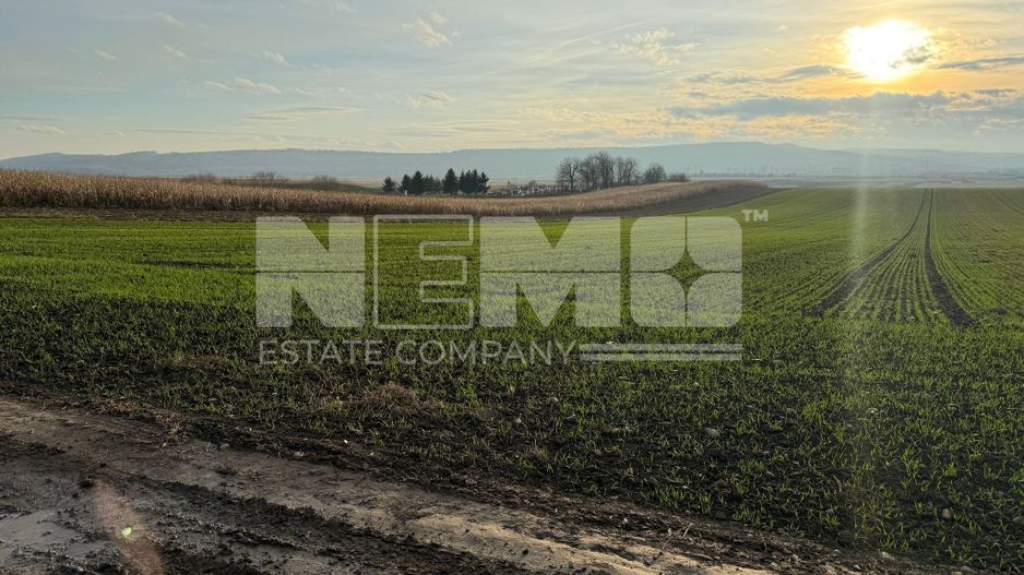 TEREN EXTRAVILAN | E85 | 126.000EURO NEGOCIABIL | - Poză 5