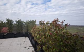 Penthouse 3 camere | 210 mp | 2 terase | Sisești - Poză 22