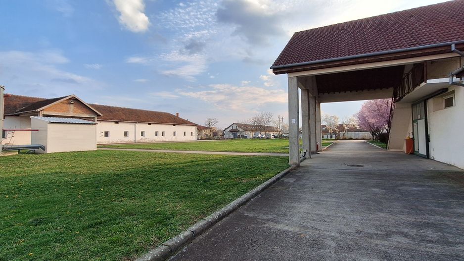 HALE de inchiriat - productie/depozitare/birouri - Poză 24