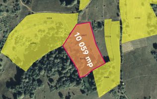 Teren cu panoramă fabuloasă, 10.059 mp, Roșia. 19.000 EUR. Comision 0