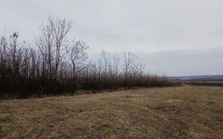 Teren DN2 | Preț: 3.100 €/arul I Suceava - Poză 3