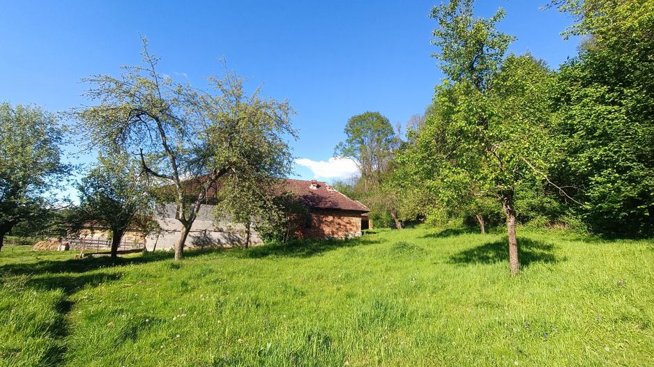 Descoperă căsuța ta de vis la poalele Munților Apuseni - Poză 15