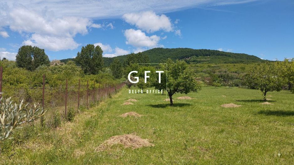 Teren intravilan 6000 mp-parcelabil-ideal constructie case-Crainimat - Poză 2