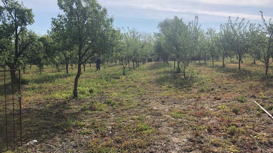 Casa de vanzare in loc. Crucisor - Poză 8