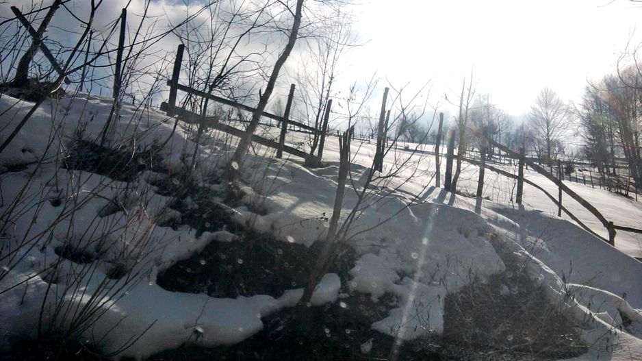teren intravilan in zona Magura Bran - Poză 13