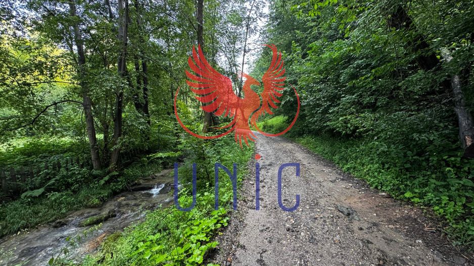 18000 mp de natura pura ,Lupeni, langa Straja - Poză 32