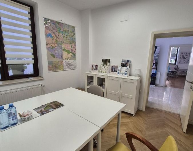 pațiu Ultracentral Premium – Ideal Clinică sau Birou | Piața Victoriei | 350 mp - Poză 7