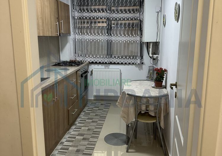 Apartament cu o cameră de închiriat în Iași, zonă urbană, 40 mp, demisol - Poză 2