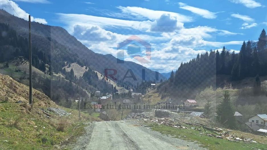 Casa Vacanta Rucar Saticu de Jos Arges - Poză 32