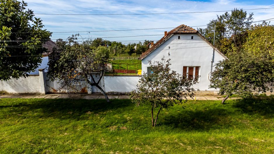 Casă cu grădină în Sântana - Poză 1