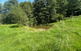 Teren 15 Ari | Cu Iaz & Terasat | Drumul Principal | 40.000 € - Poză 5