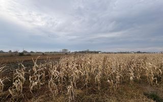 Teren de vânzare | 52 ari | intravilan | Zonă liniștită | Rădăuți - Poză 4