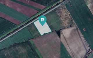 Teren 22.500 mp – Pecica, jud. Arad - Poză 10