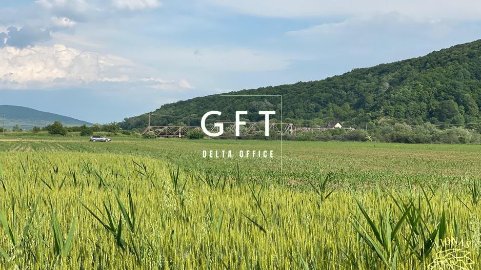 Teren -4.300 mp - Arabil - Chintelnic - Poză 6