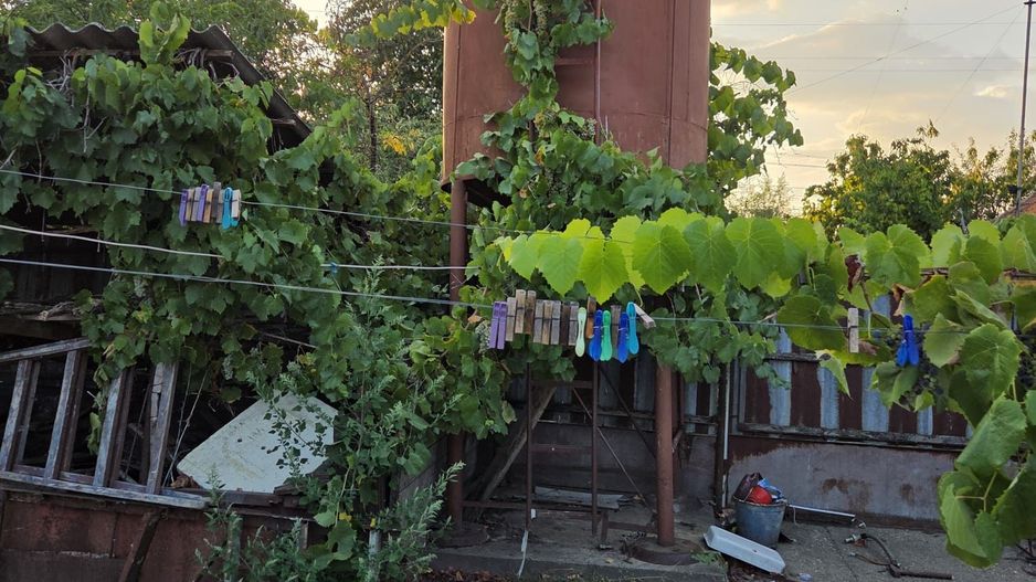 Casă și teren 2177 mp Ortisoara -28ml front-comision 0 - Poză 11