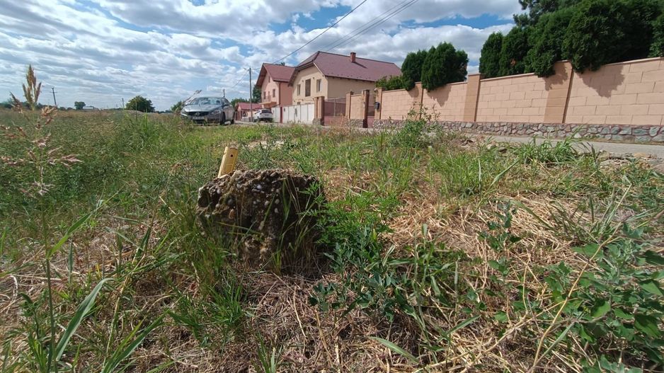 Descoperă o oportunitate rară: Teren intravilan- 2.000 mp în Zădăreni - Poză 10