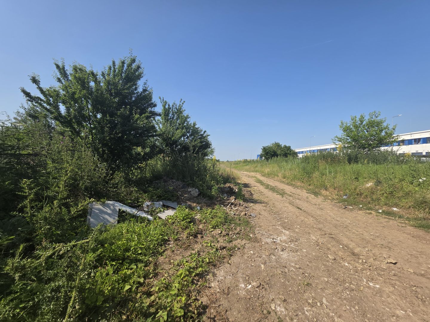 Teren pentru Dezvoltare Logistică – 18.000 mp | Tunari - Comopolis - Poză 6