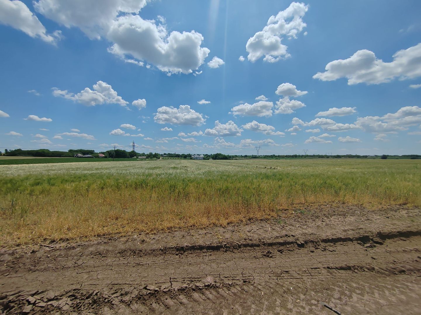 Frumusani Postavari 30 minute de Aparatorii Patriei super oferta 7 eur - Poză 3