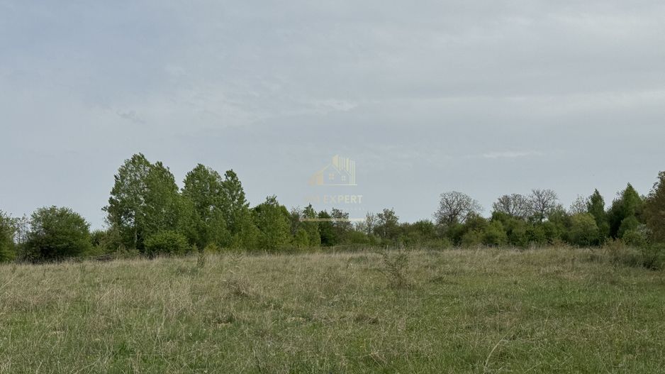 TEREN INTRAVILAN, 7472 MP, VALEA MARE PRAVAT, ARGES - Poză 5