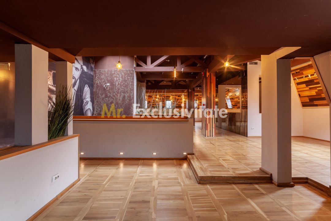 Spatiu comercial premium in vila – Bd. Republicii, Pitesti - Poză 14