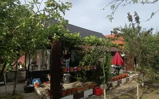Casă de vanzare cu 4 camere 107 mpu pivnita anexe curte gradina Sebes - Poză 14