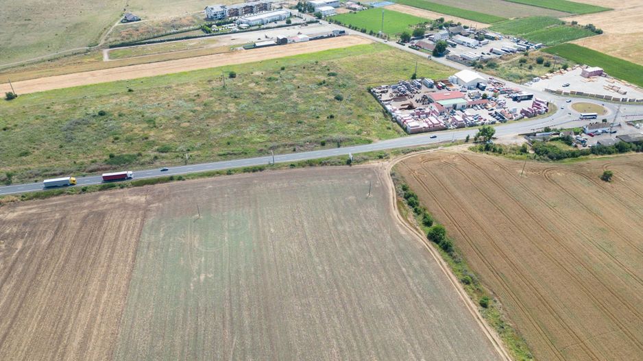 Teren extravilan 12.000 mp DN79 Arad-Oradea - Poză 8