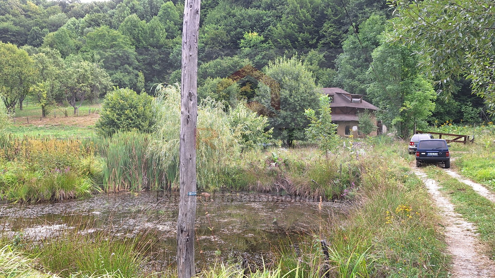 VANZARE ANSAMBLU CASUTE BRADULET ARGES - Poză 1