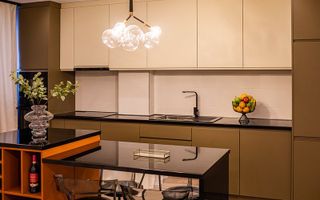 Apartament de lux 2 camere open space Take Ionescu (ISHO) - Poză 7